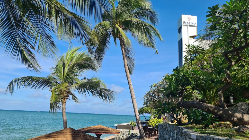 palm trees and a building by the water